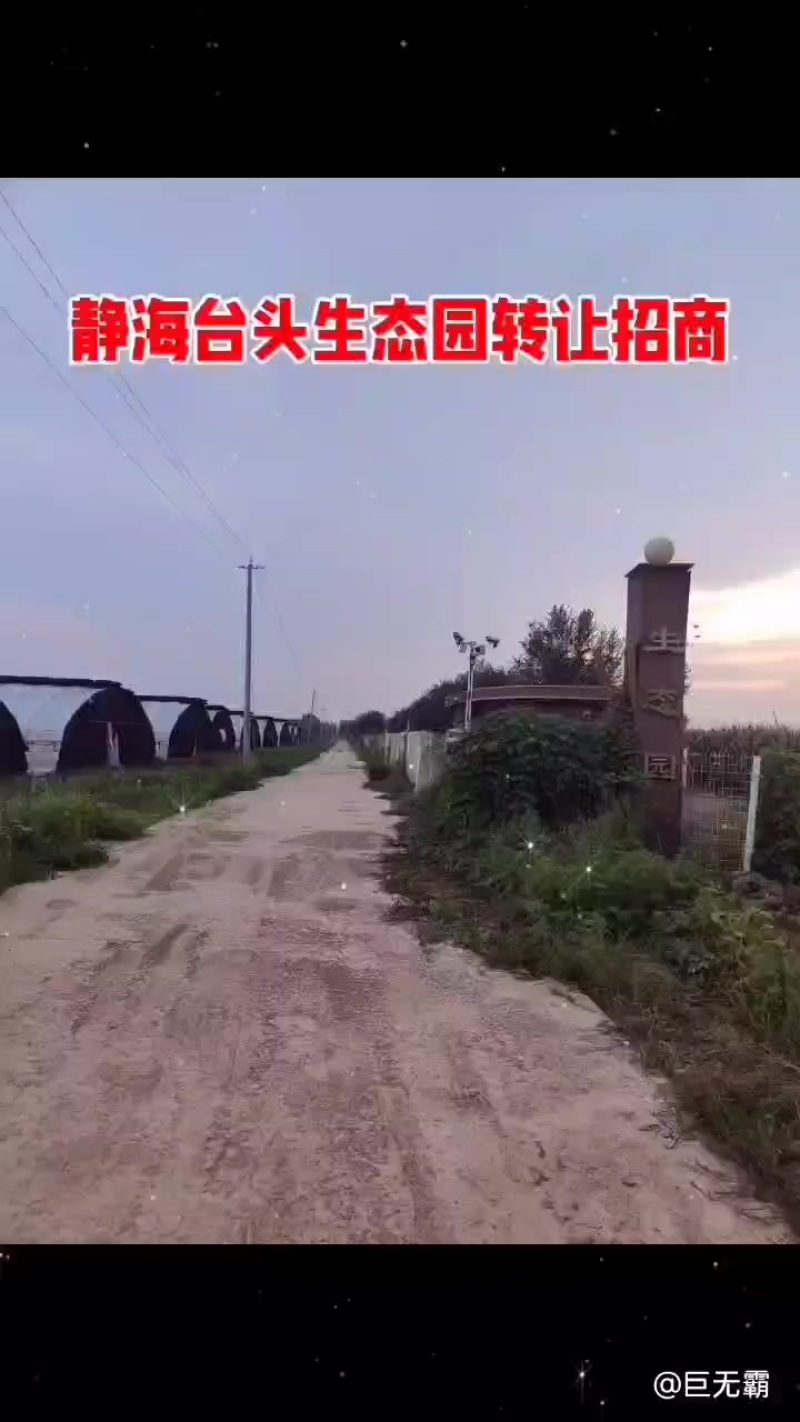 天津市静海区台头镇生态园88亩设施齐全，有8个大棚鱼池