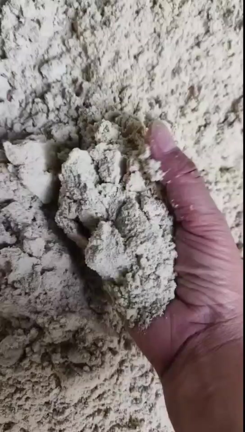 玉米油渣粉，2.毛一斤