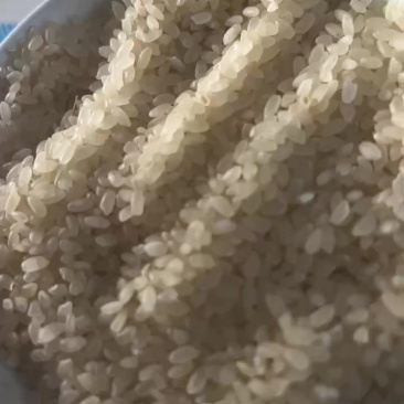 大米辽星系列自己家种的不打蜡不抛光