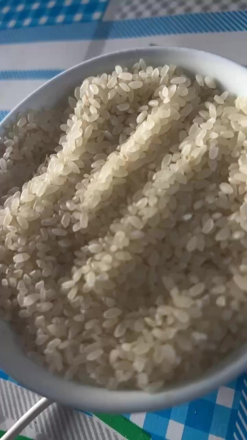 大米辽星系列自己家种的不打蜡不抛光