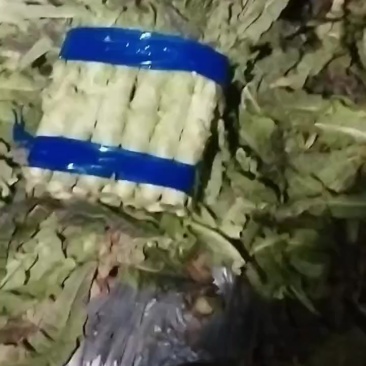 精品莴笋市场货，电商货