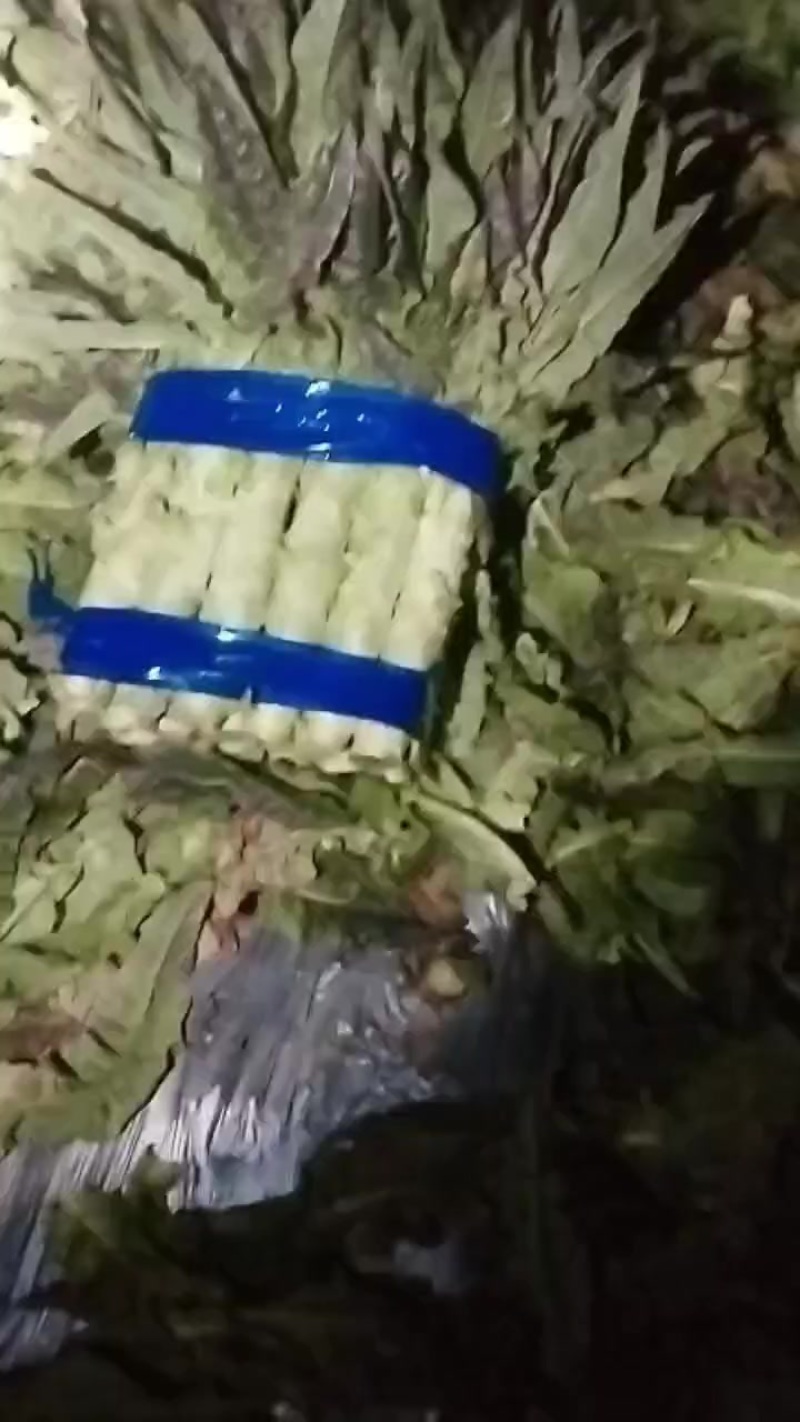 精品莴笋市场货，电商货