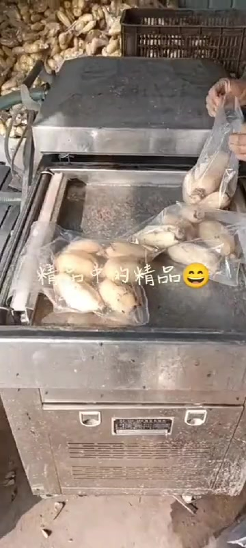 精品真空莲藕头