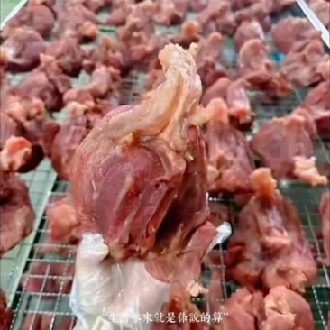 五香全熟牛腱子