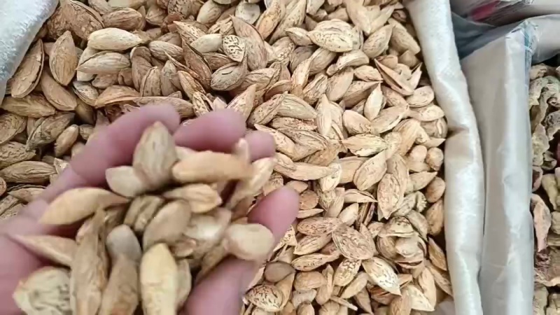 沙车一号原味的巴旦木
