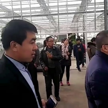 嫁接、直播西瓜、甜瓜苗大量上市，有需要的朋友和我联系！