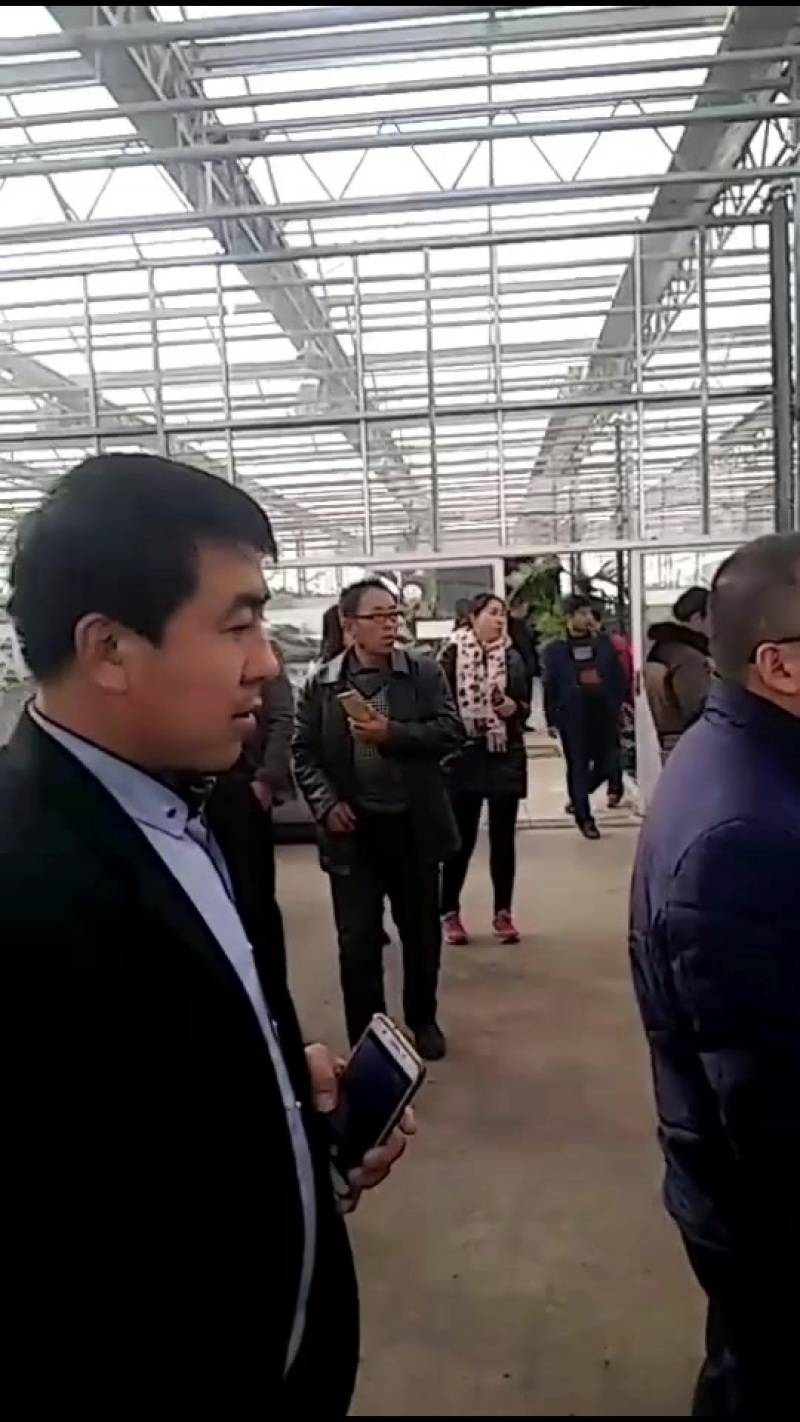 嫁接、直播西瓜、甜瓜苗大量上市，有需要的朋友和我联系！