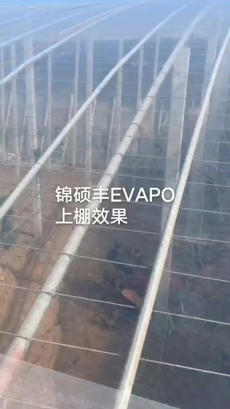 农膜po膜，双防膜，eva膜，地膜等