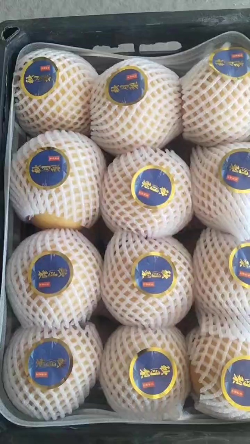 精品秋月梨，口感不错，汁，甜！！！
