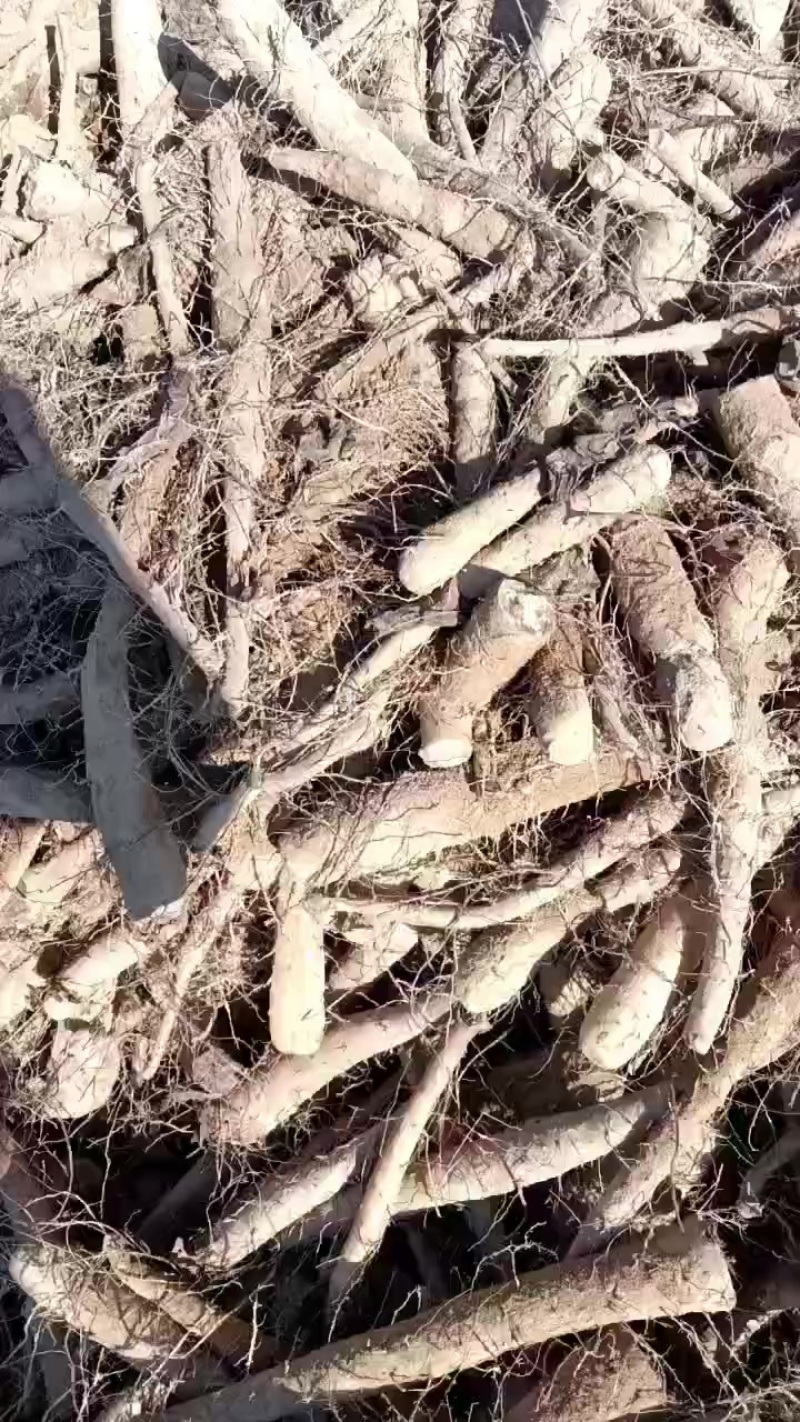 山药