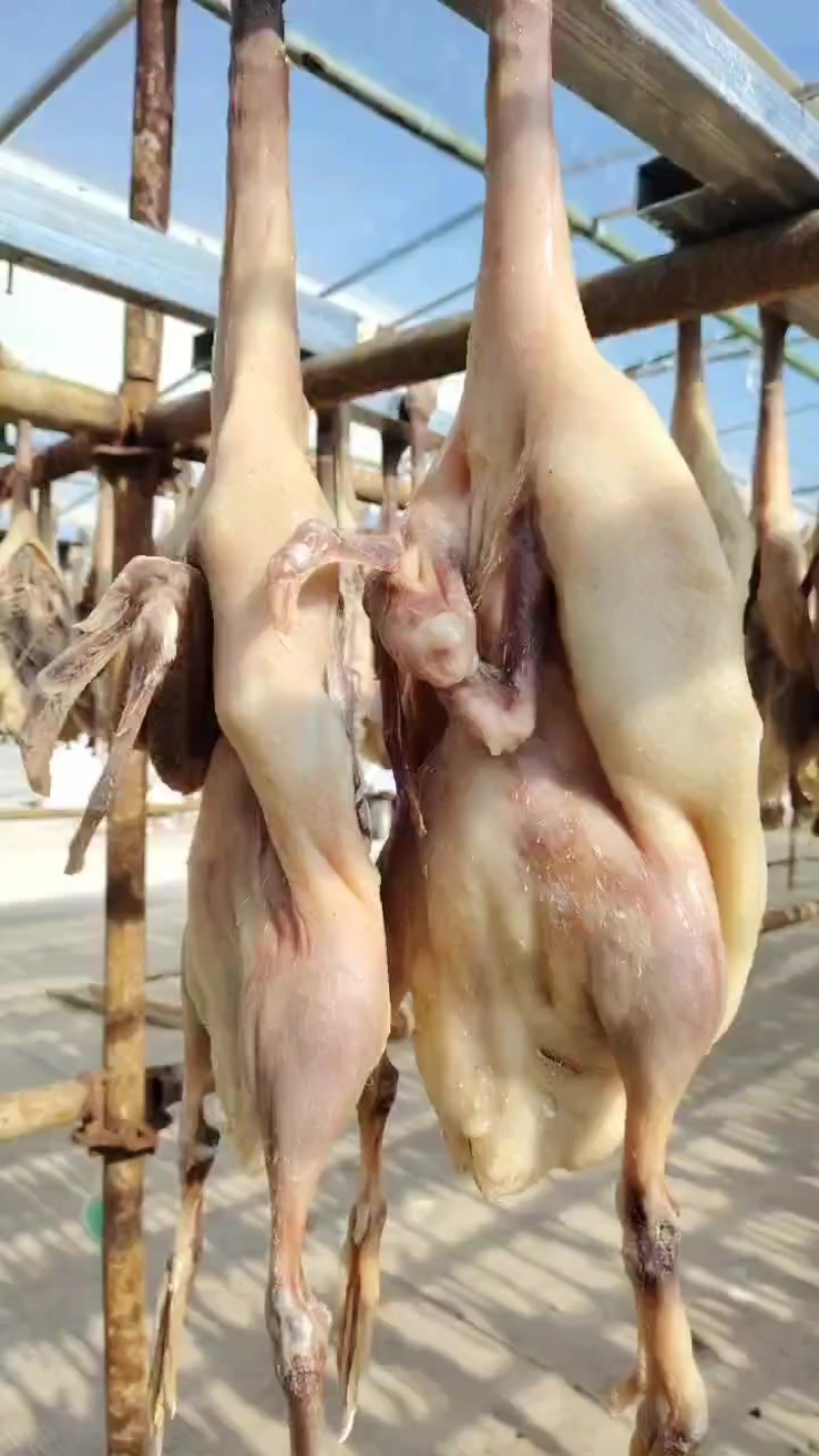 风干鸭风干鹅，皖北特产咸鸭咸鹅三只鸭一只鹅模式干货55一套