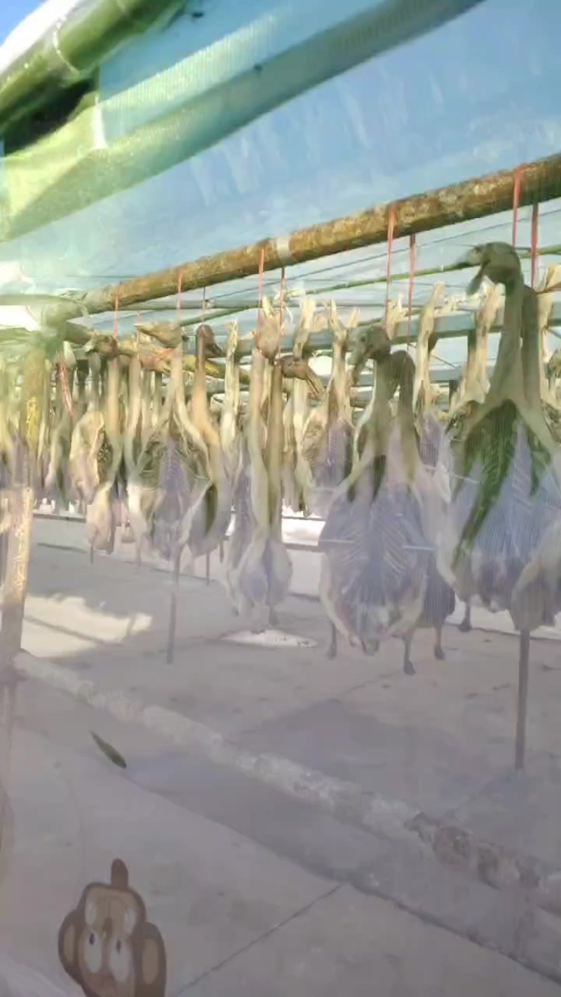 风干鸭风干鹅，皖北特产咸鸭咸鹅三只鸭一只鹅模式干货55一套