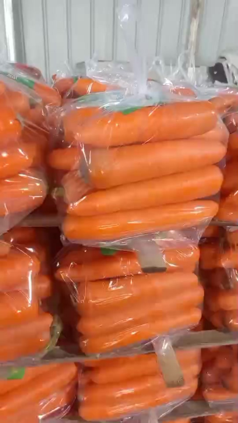 主打红萝卜