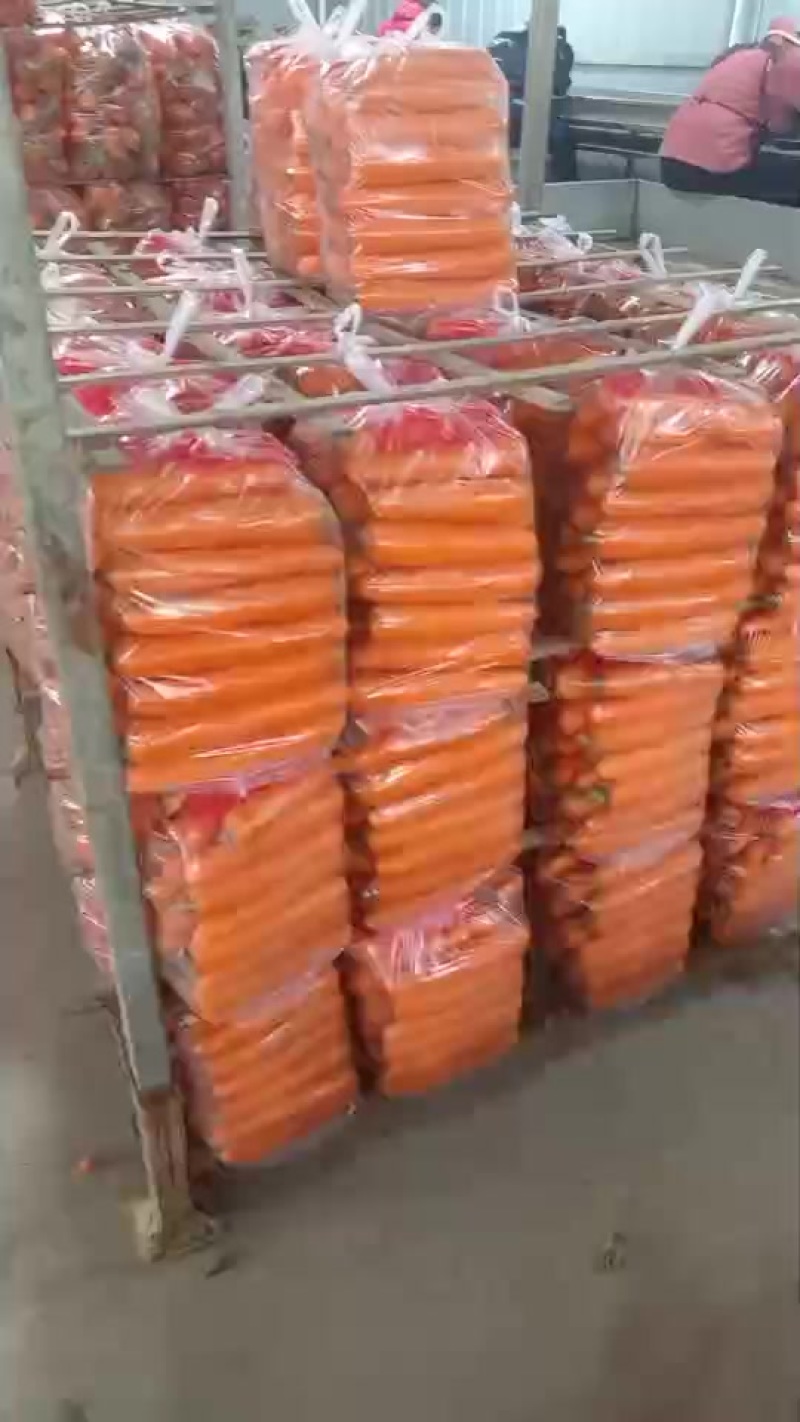 主打红萝卜