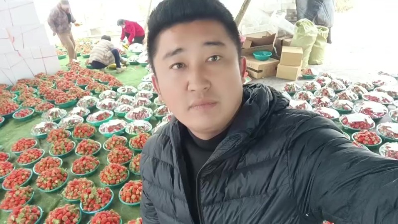 甜宝草莓头茬下来了