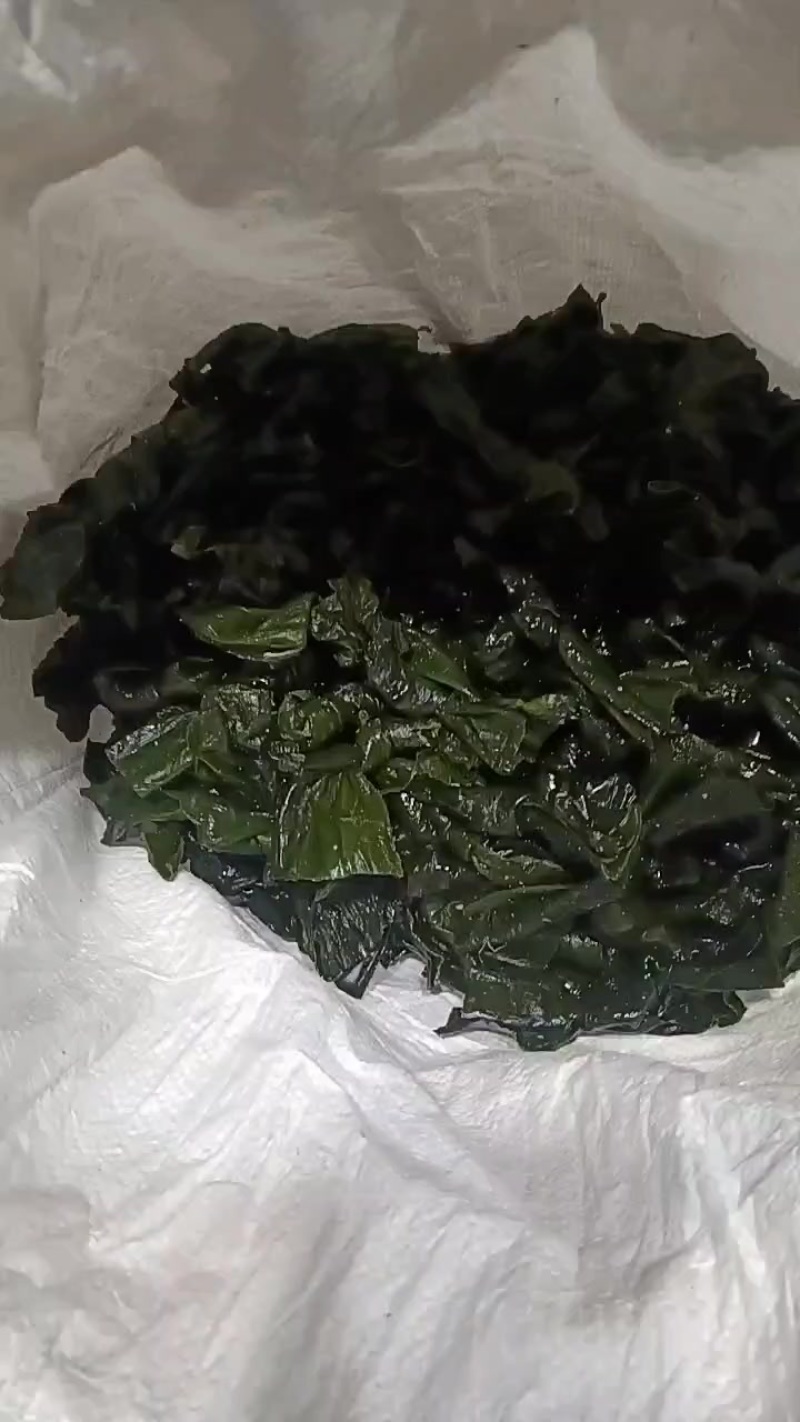 盐渍海带结