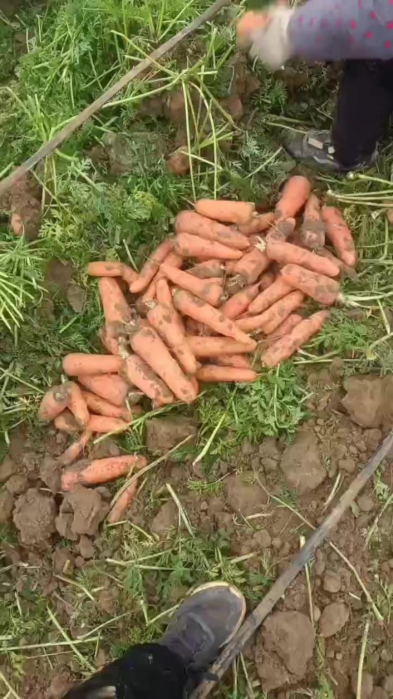 货好量大