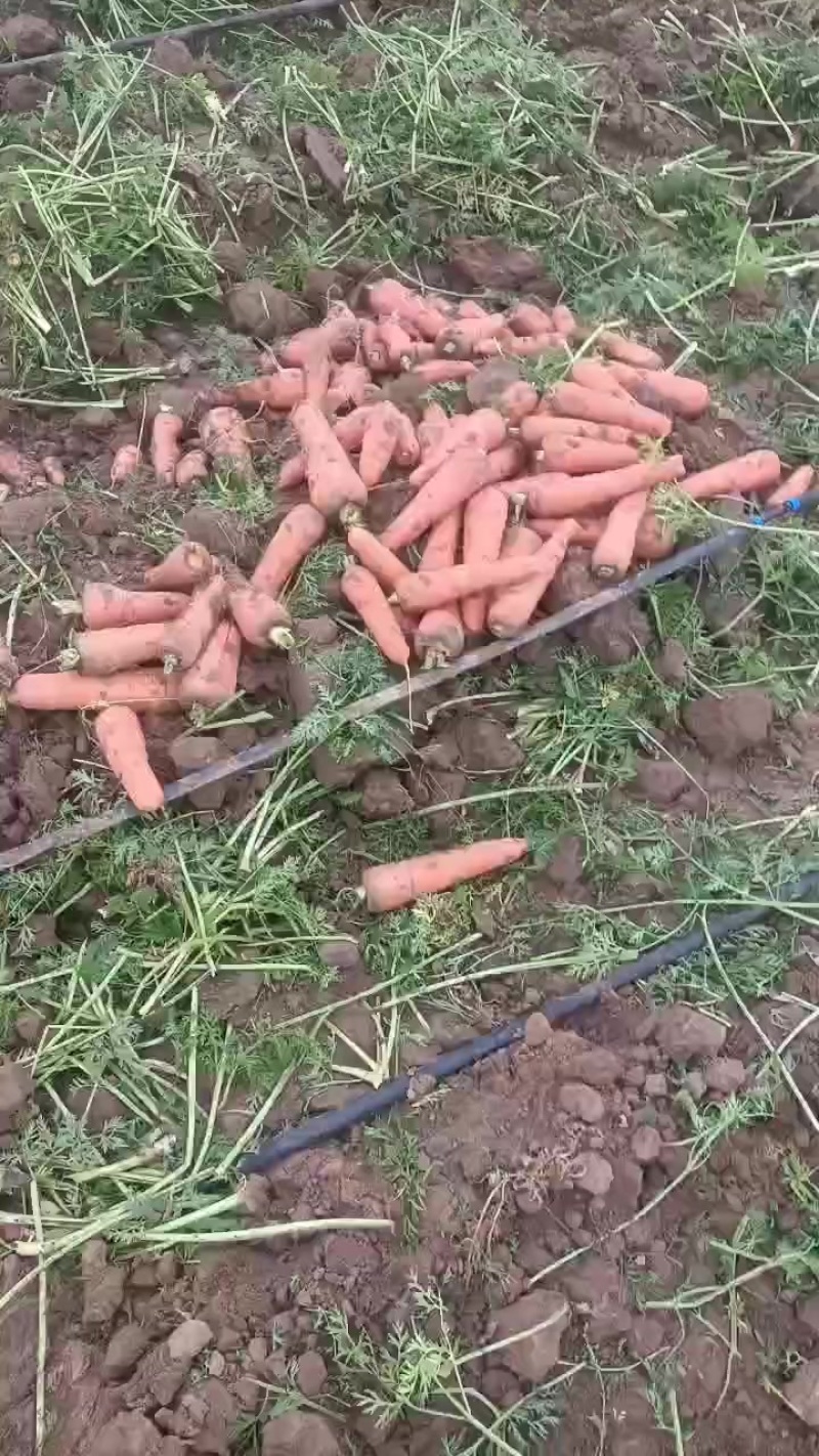 货好量大