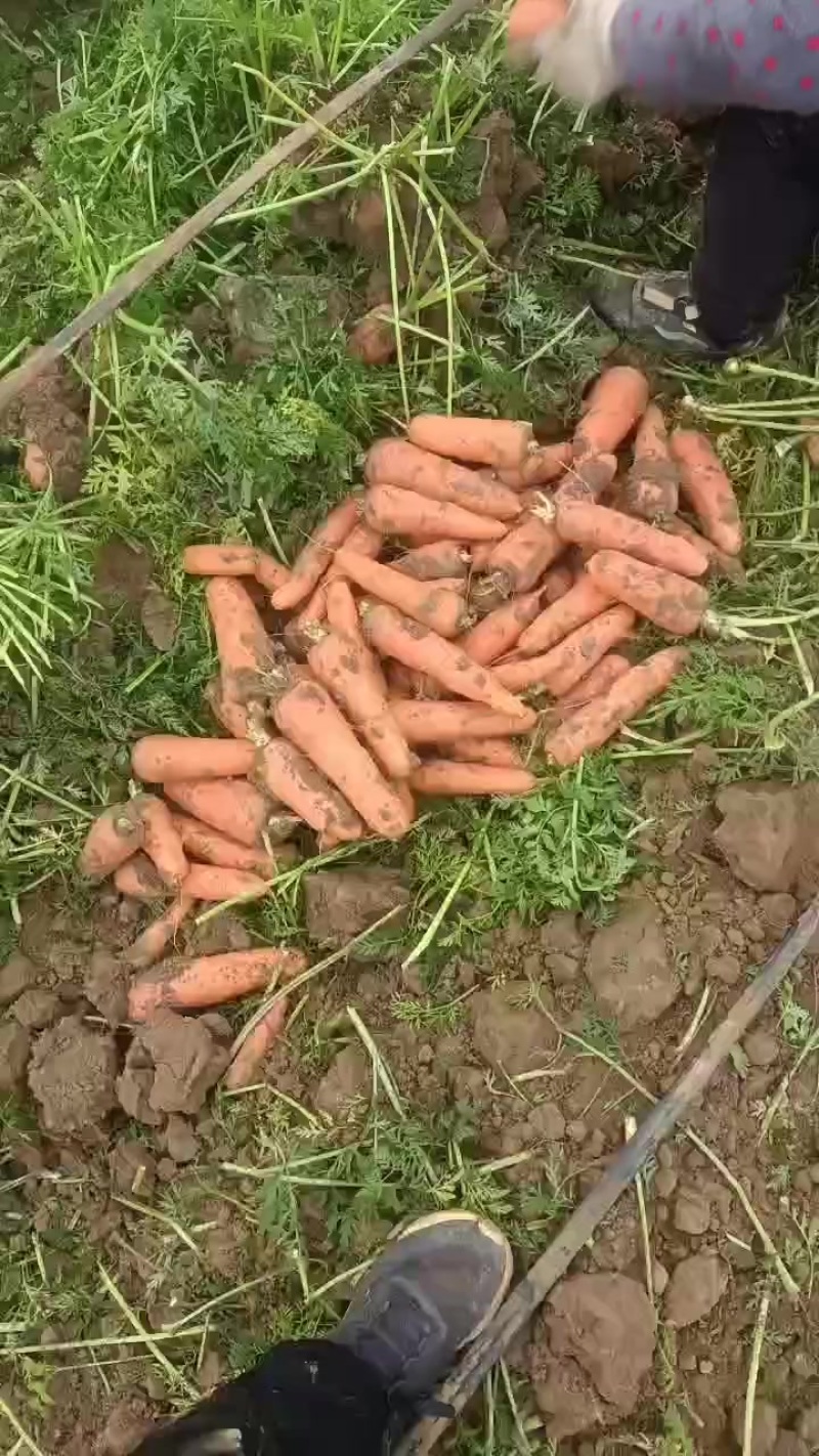 货好量大