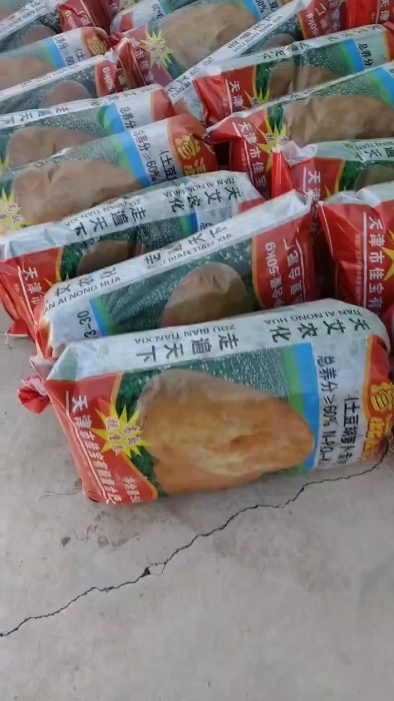 散装香菜