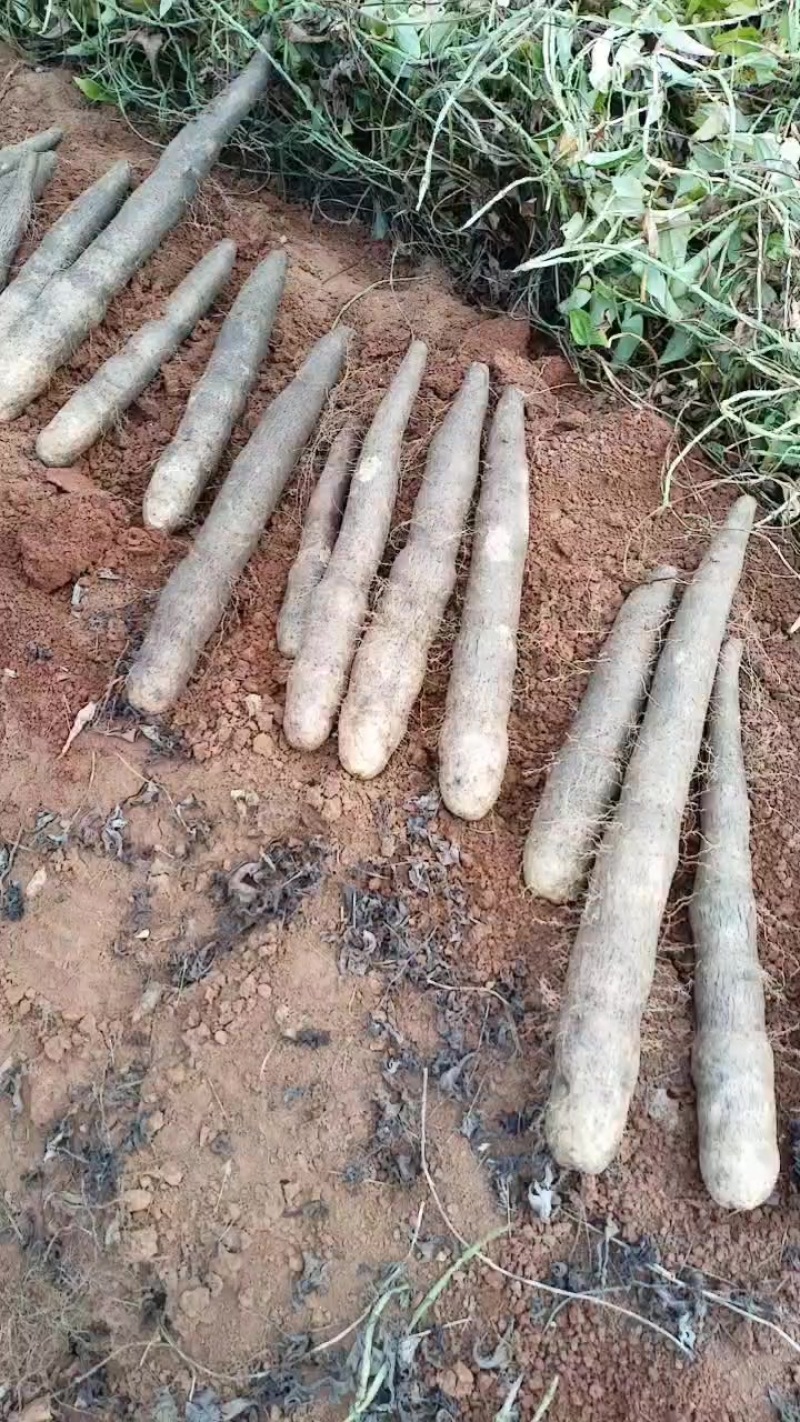 产地直发价钱优惠
