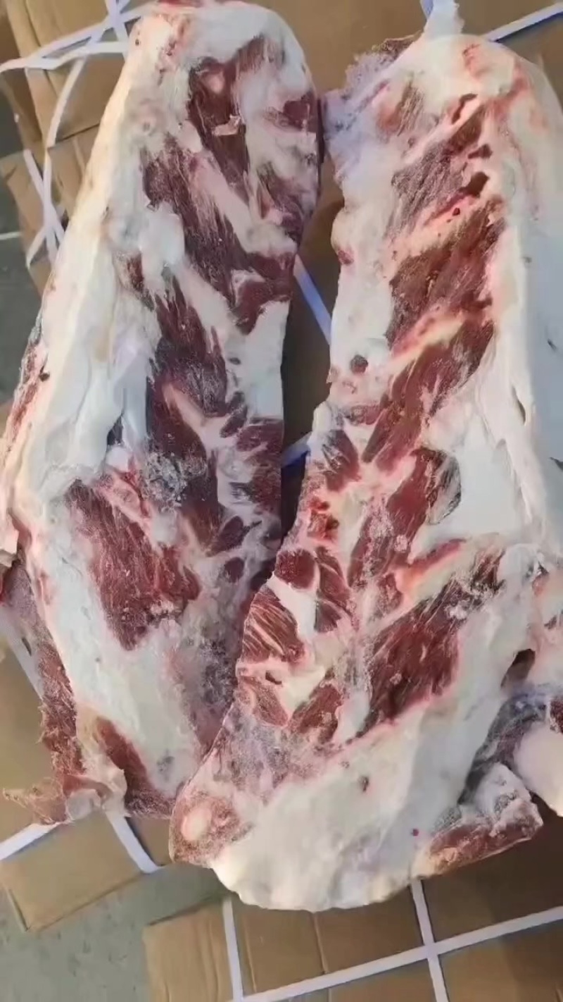 国产牛胸骨