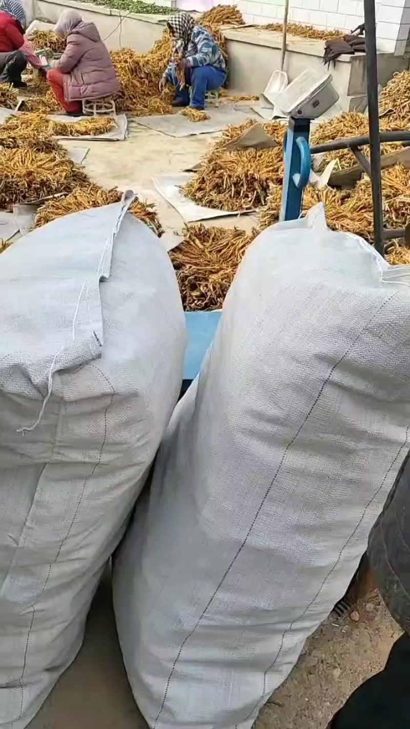 独活，地摊，跑江湖