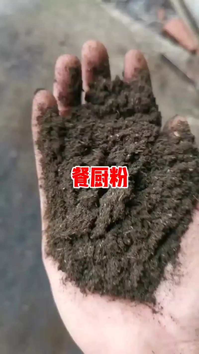 烘干餐厨粉，发酵好的，蛋白25，脂肪18，水分8高蛋白原料