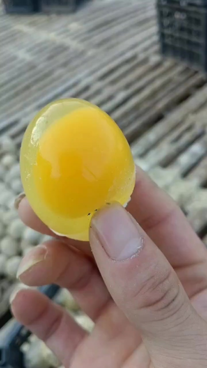 河南五香变蛋黄金皮蛋厂家直发品质保证量大朋友欢迎联系