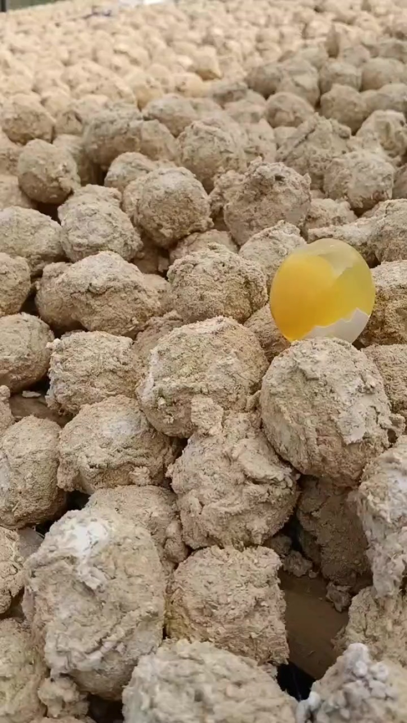 河南五香变蛋黄金皮蛋厂家直发品质保证量大朋友欢迎联系