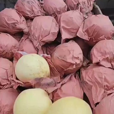 自家鸭梨