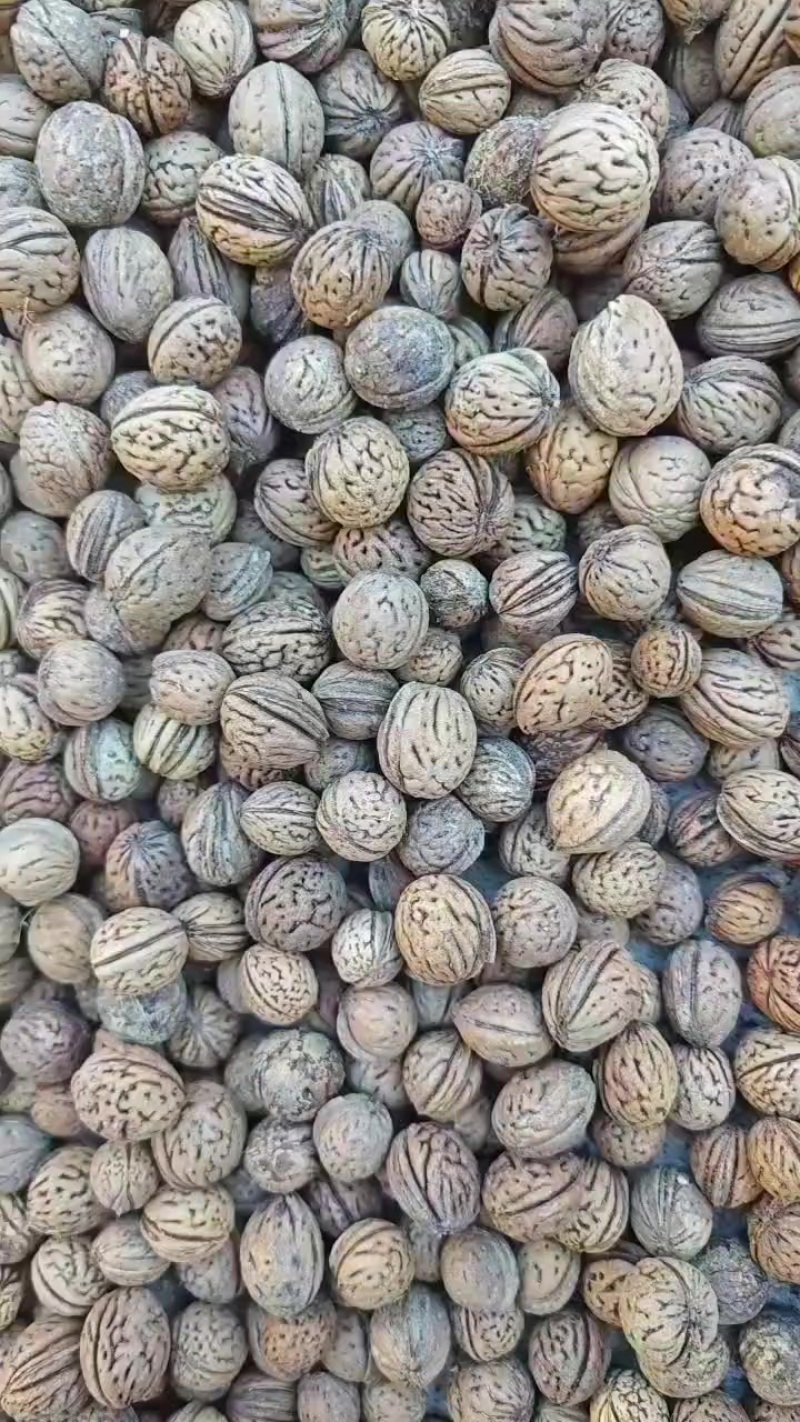 桃核