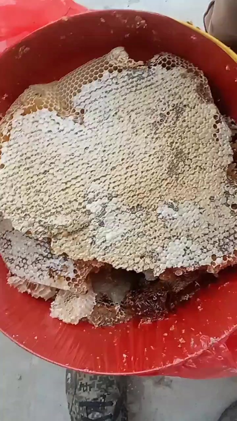 土蜂蜜