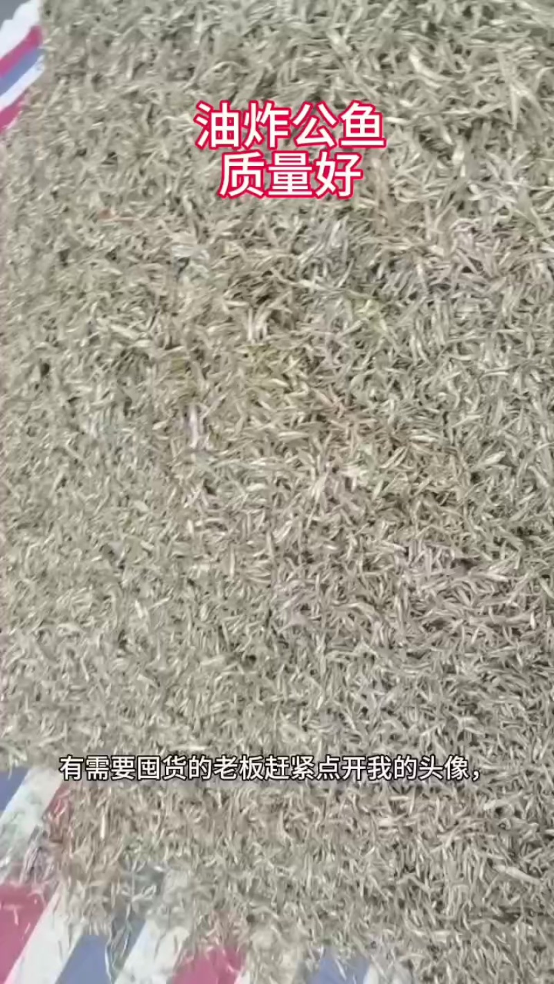 油炸公鱼