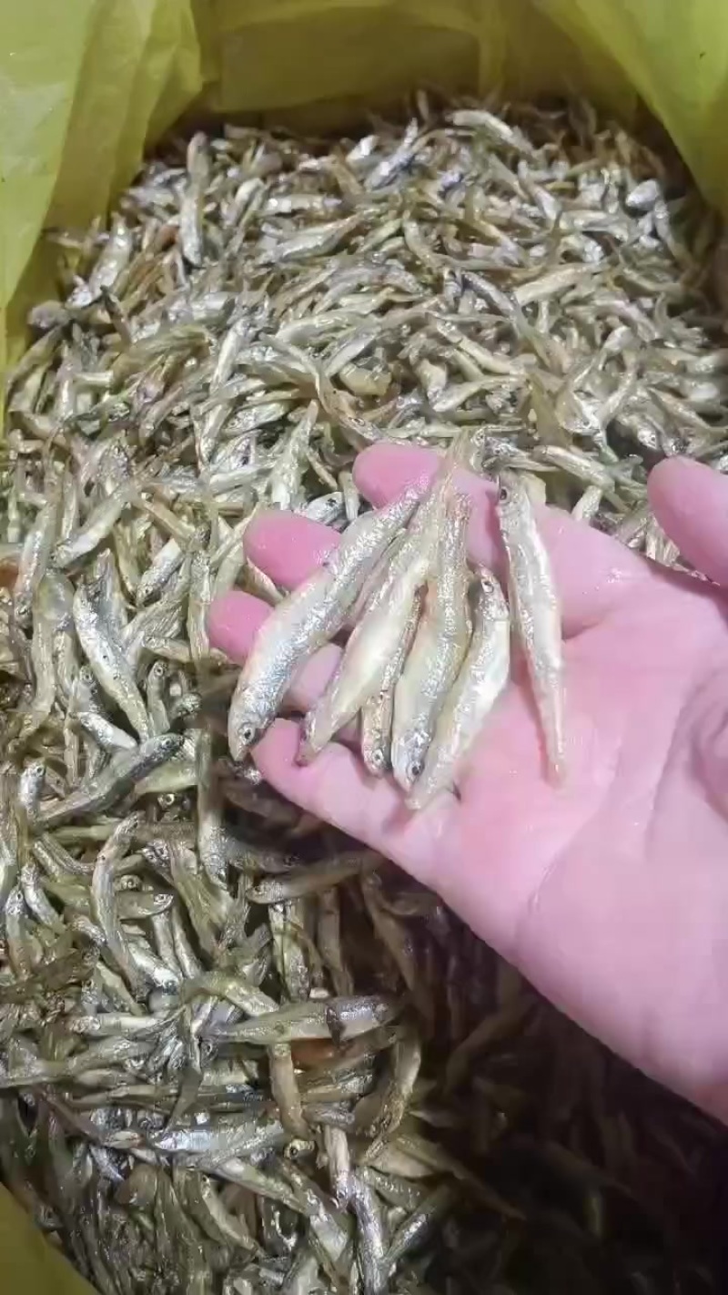 油炸公鱼