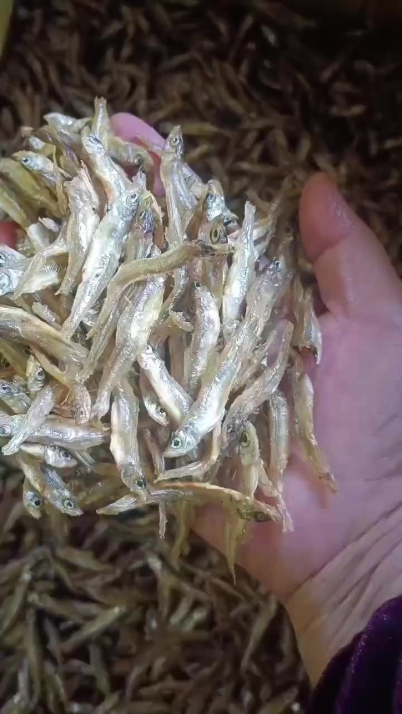 油炸公鱼