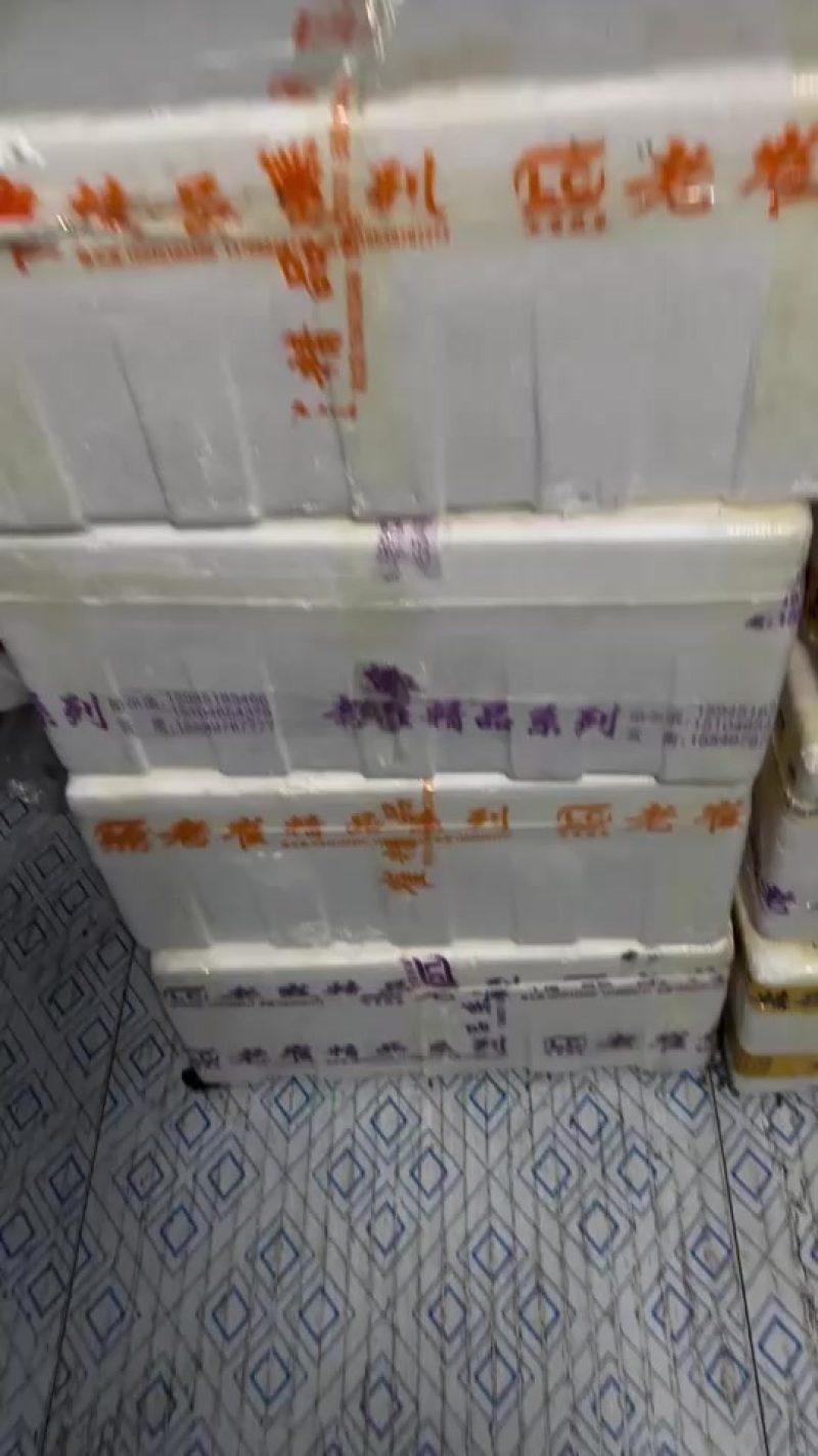 2025年鲜冻蝼蛄，满黄满油，量大价优200斤起步