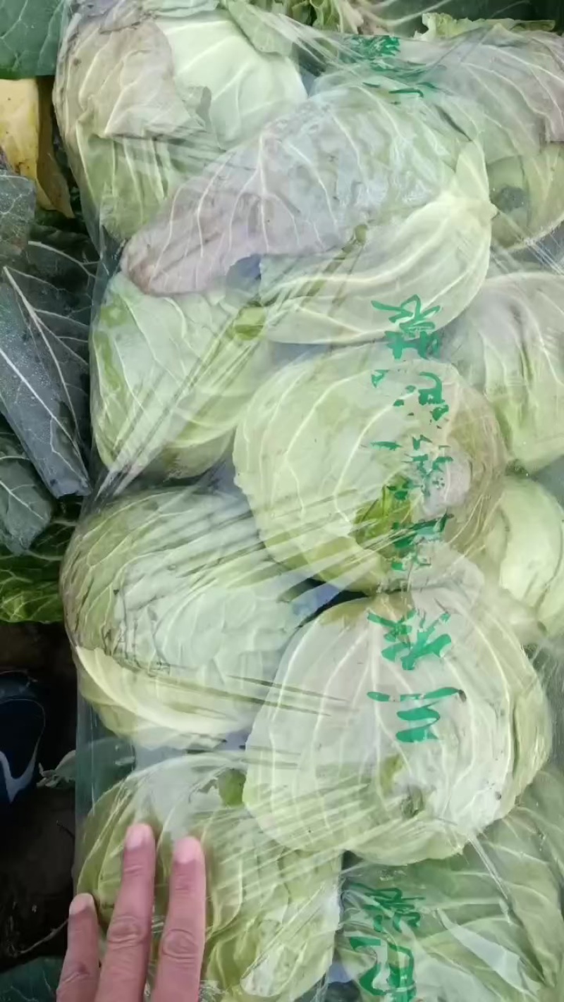 甘缆