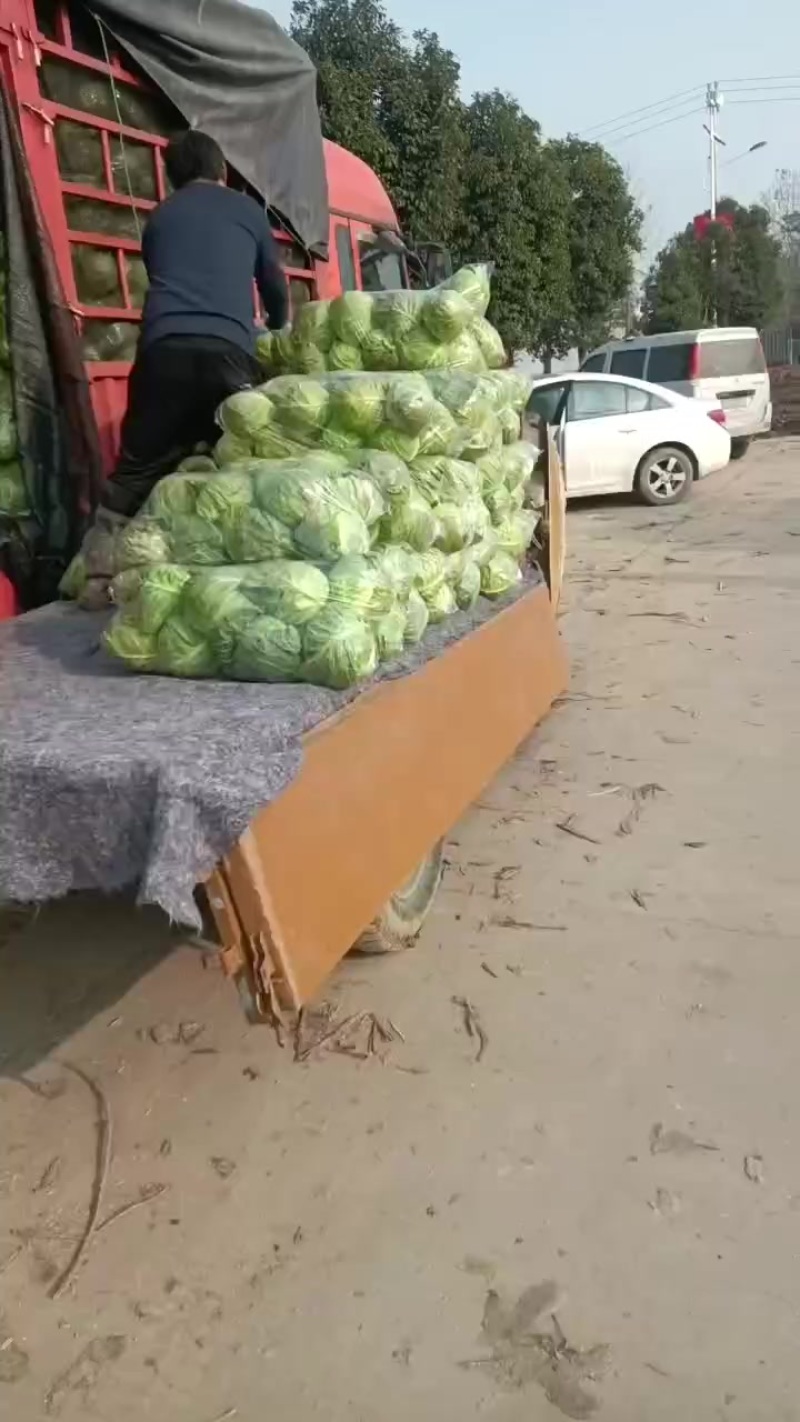 甘缆