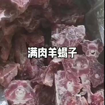满肉羊蝎子