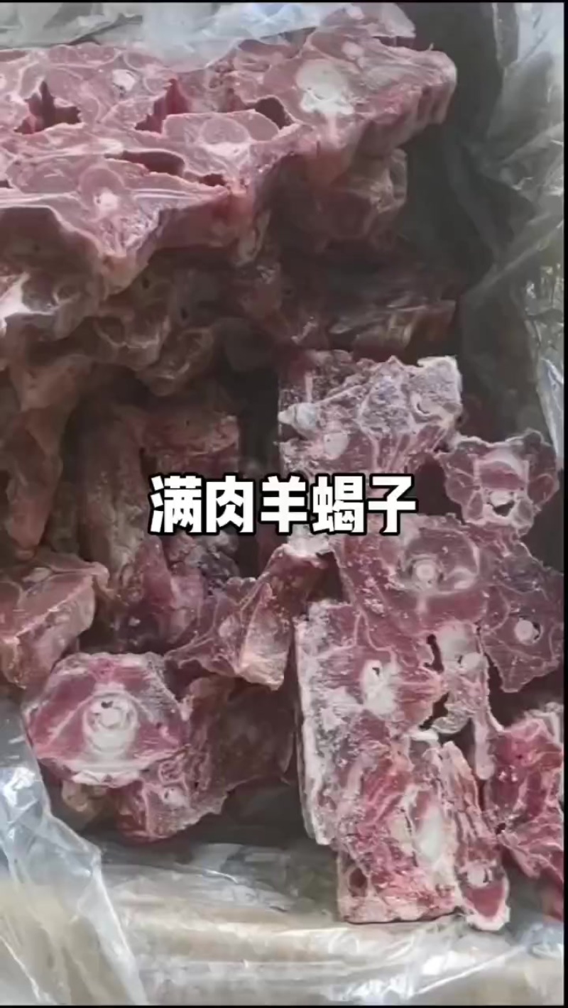 满肉羊蝎子