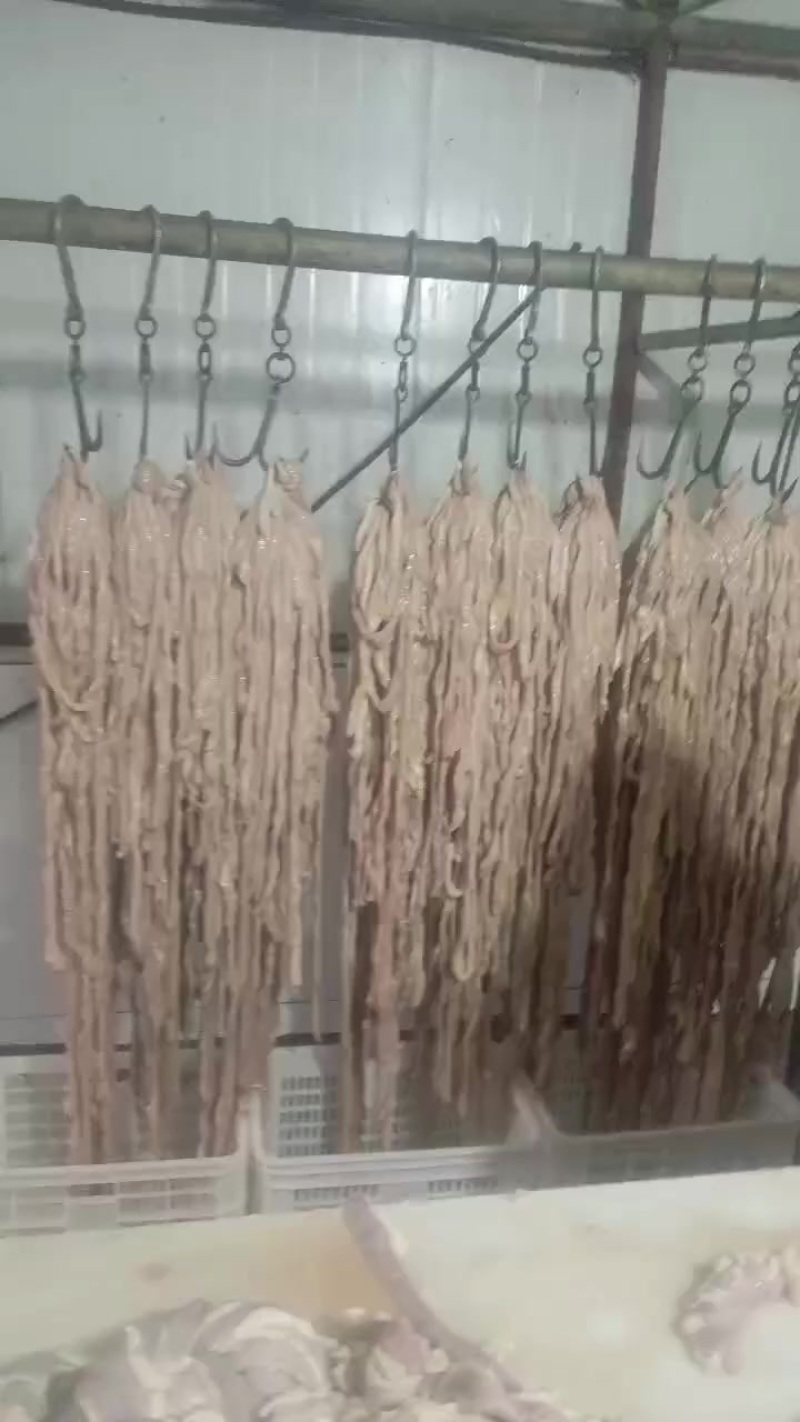 牛小肠纯干货