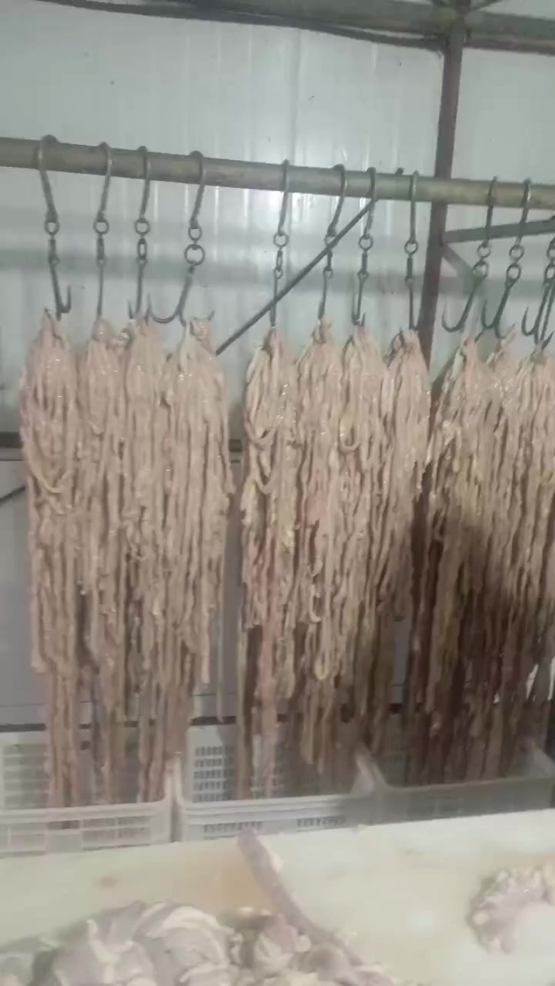 牛小肠纯干货