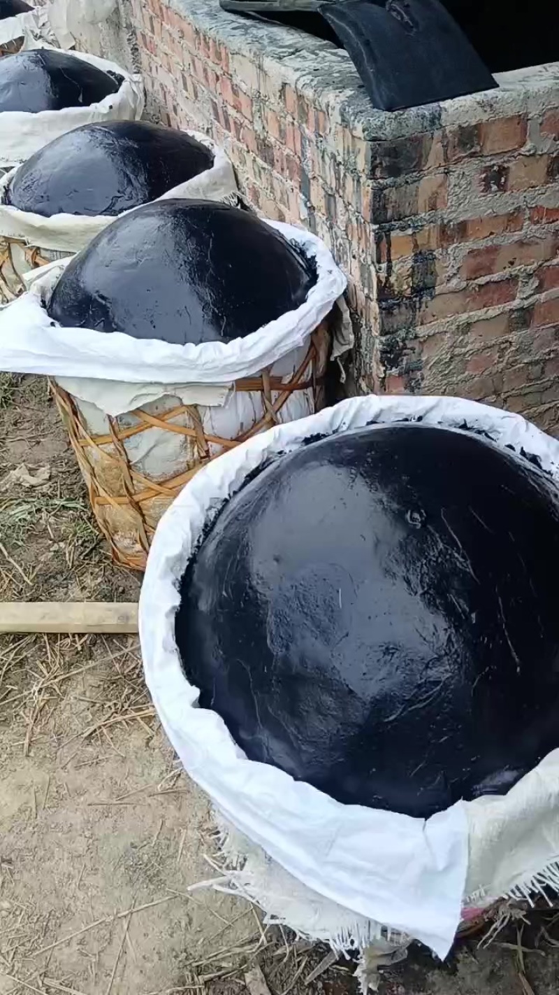 南板蓝根种苗，青黛（即蓝靛膏）销售***********