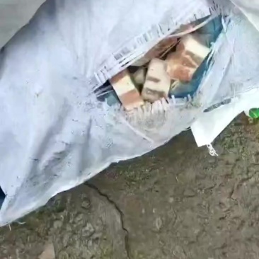 肥猪五花肉块