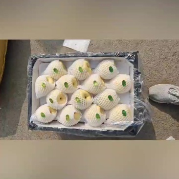 高山酥梨，蜜梨，贡梨，大量走货，口感嘎嘎甜