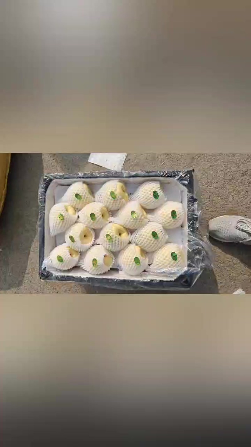 高山酥梨，蜜梨，贡梨，大量走货，口感嘎嘎甜
