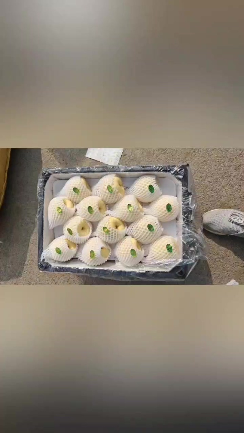 高山酥梨，蜜梨，贡梨，大量走货，口感嘎嘎甜