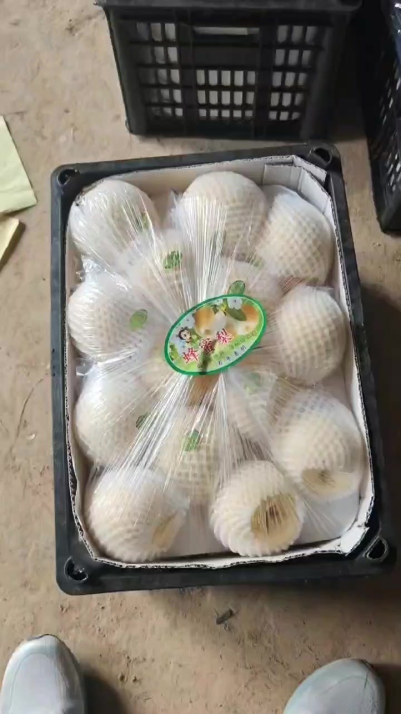 高山酥梨，蜜梨，贡梨，大量走货，口感嘎嘎甜