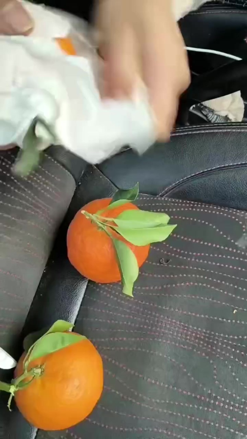 蒲江爱媛果冻橙